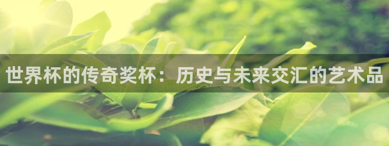 世界杯预选赛赛程：世界杯的传奇奖杯：历史与未来交汇的艺术品