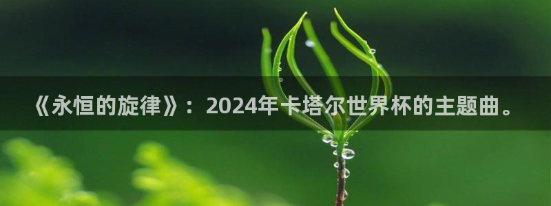 2026世界杯足球赛程时间表：《永恒的旋律》：2024年卡塔尔世界杯的主题曲。