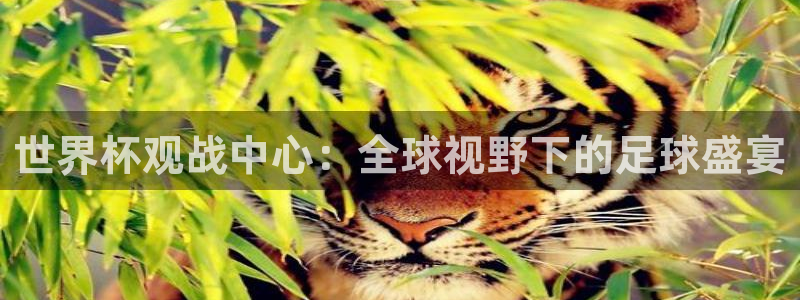 国际足联世界杯：世界杯观战中心：全球视野下的足球盛宴