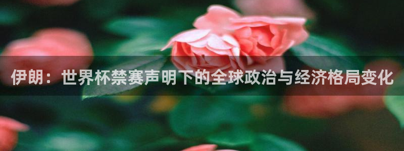 免费足球比赛直播高清：伊朗：世界杯禁赛声明下的全球政治与经济格局变化