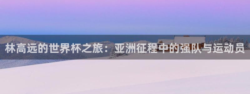 世界杯比赛直播：林高远的世界杯之旅：亚洲征程中的强队与运动员