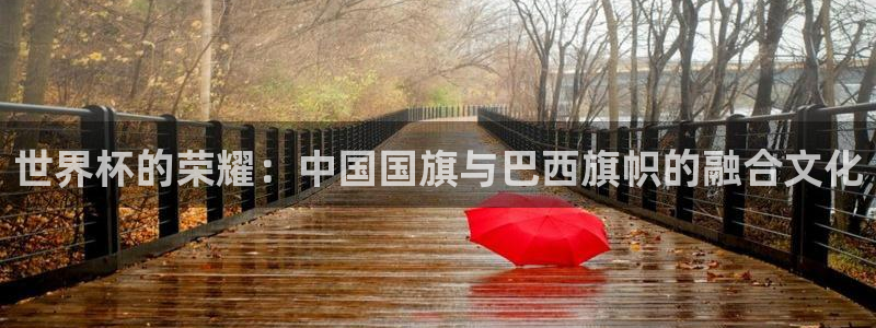 世界杯欧洲预选赛赛程：世界杯的荣耀：中国国旗与巴西旗帜的融合文化