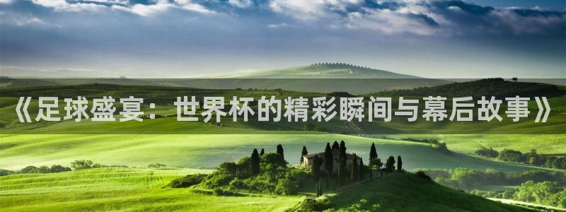 世界杯预选赛2026：《足球盛宴：世界杯的精彩瞬间与幕后故事》