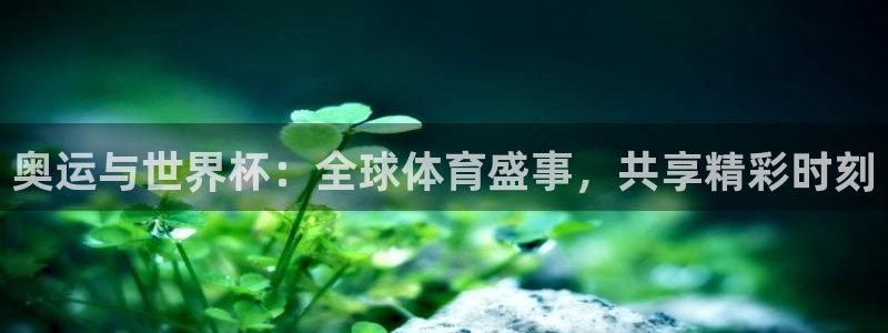 世界杯预选赛排名：奥运与世界杯：全球体育盛事，共享精彩时刻