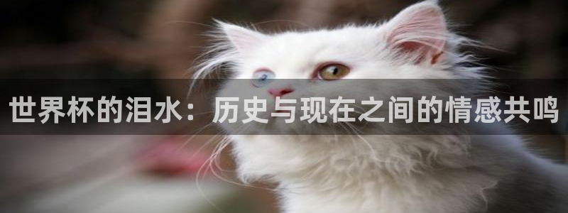 世界杯 中国：世界杯的泪水：历史与现在之间的情感共鸣
