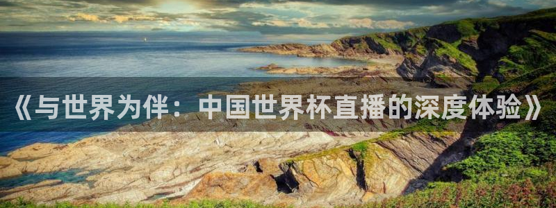 世界杯预选赛亚洲：《与世界为伴：中国世界杯直播的深度体验》
