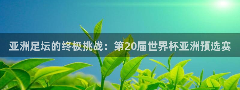 世界杯预选赛亚洲：亚洲足坛的终极挑战：第20届世界杯亚洲预选赛