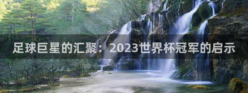 世界杯球队：足球巨星的汇聚：2023世界杯冠军的启示